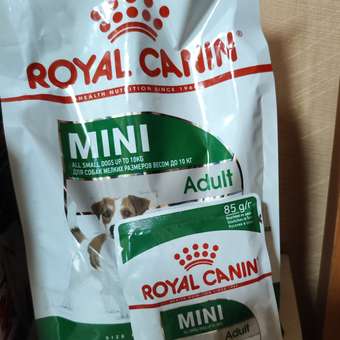 Корм для собак ROYAL CANIN мелких пород 800г: отзыв пользователя. Зоомагазин Зоозавр