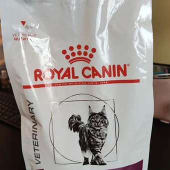 Корм для кошек ROYAL CANIN Renal RF23 лечение заболеваний почек 2кг: отзыв пользователя. Зоомагазин Зоозавр