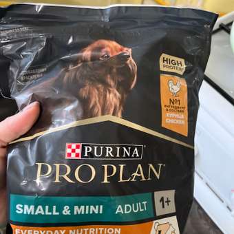 Корм для собак PRO PLAN мелких и карликовых пород с комплексом Optibalance курица с рисом 700г: отзыв пользователя. Зоомагазин Зоозавр