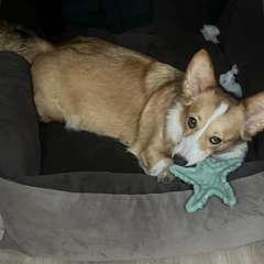 Фото отзыва 10663710