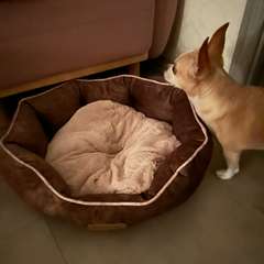 Фото отзыва 10450750