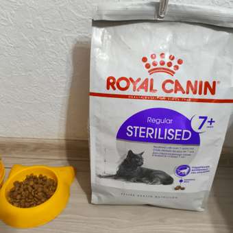 Корм сухой для кошек ROYAL CANIN Sterilised 3.5кг пожилых стерилизованных: отзыв пользователя. Зоомагазин Зоозавр