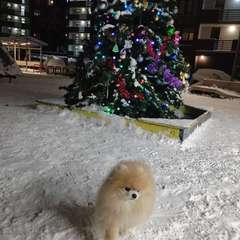 Фото отзыва 10951944