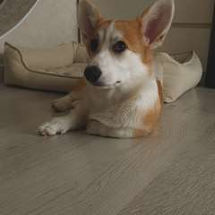 Фото отзыва 10994824