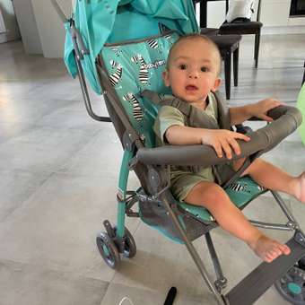 Коляска прогулочная Babyton Zoo Blue: отзыв пользователя ДетМир