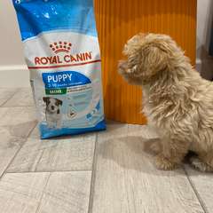 Фото отзыва 10732503