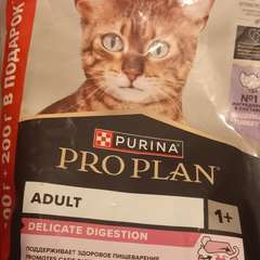 Фото отзыва 10929074