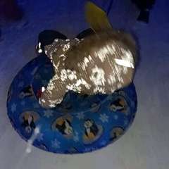 Видео отзыва 10909712