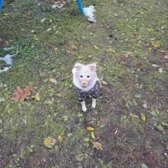 Фото отзыва 10502341