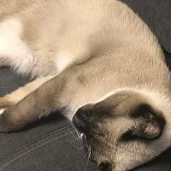 Фото отзыва 11091798