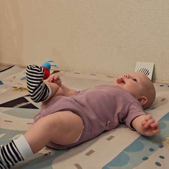 Игрушка Anmuze погремушка Букашки: отзыв пользователя Детский Мир