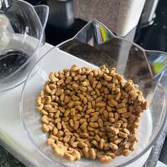Фото отзыва 11363875