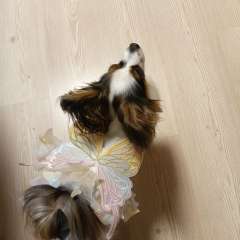 Фото отзыва 10575889