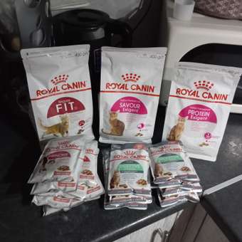 Корм сухой для кошек ROYAL CANIN Exigent Protein 400г привередливых к составу продукта: отзыв пользователя. Зоомагазин Зоозавр