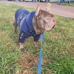 Фото отзыва 10509263