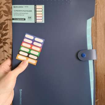 Папка-органайзер Brauberg А4: отзыв пользователя Детский Мир