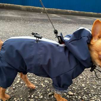 Дождевик-комбинезон для собак Zoozavr тёмно-синий 25: отзыв пользователя. Зоомагазин Зоозавр