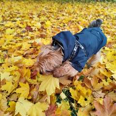 Фото отзыва 10550909