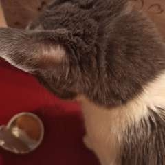 Фото отзыва 10650417