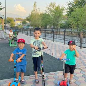 Самокат Kreiss трехколесный: отзыв пользователя Детский Мир