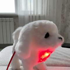 Видео отзыва 10758150