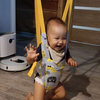 Прыгунки подвесные Babyton: отзыв пользователя ДетМир