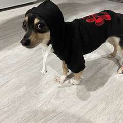 Фото отзыва 10989949