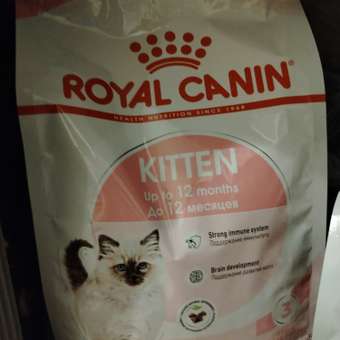 Корм сухой для котят ROYAL CANIN Kitten 1.2кг: отзыв пользователя. Зоомагазин Зоозавр