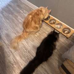 Фото отзыва 11020931