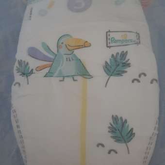 Подгузники Pampers Premium Care 3 (6-10 кг) 18 шт.: отзыв пользователя ДетМир