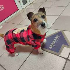 Фото отзыва 10744922