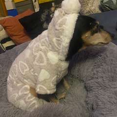 Фото отзыва 10763159