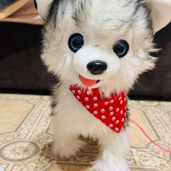 Мягкая игрушка ТОТОША собачка на поводке ходит, лает, поет: отзыв пользователя Детский Мир