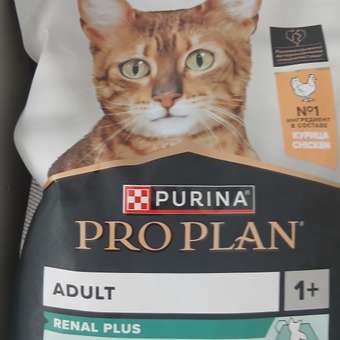 Корм сухой для кошек PRO PLAN RENAL PLUS 1.5 кг с курицей: отзыв пользователя. Зоомагазин Зоозавр