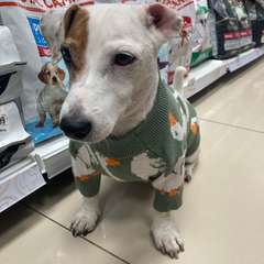 Фото отзыва 10618615