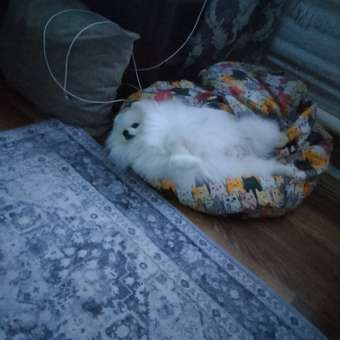 Игрушка для собак Barbaks Мяч-жевалка прочный внутрь можно класть лакомства 6.5см TRP: отзыв пользователя. Зоомагазин Зоозавр