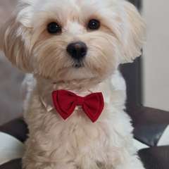 Фото отзыва 10579475