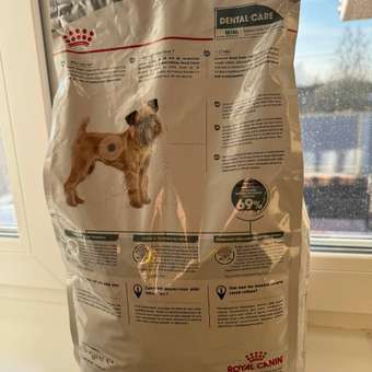 Корм для собак ROYAL CANIN Mini Dental мелких пород предрасположенных к образованию зубного камня 3кг: отзыв пользователя. Зоомагазин Зоозавр
