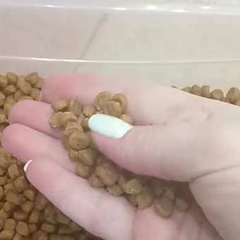 Корм сухой для котят PRO PLAN DELICATE DIGESTION 3 кг с индейкой: отзыв пользователя. Зоомагазин Зоозавр