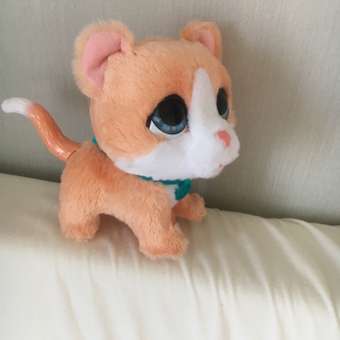 Игрушка мягкая FurReal Friends котик: отзыв пользователя Детский Мир