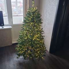 Фото отзыва 10657435