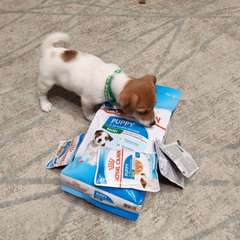 Фото отзыва 10724976