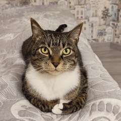 Фото отзыва 10726415