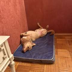 Фото отзыва 11069661