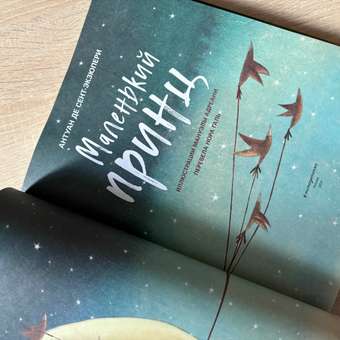 Книга Эксмо Маленький принц иллюстрации Адреани перевод Норы Галь: отзыв пользователя Детский Мир