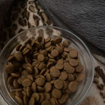 Корм для собак ROYAL CANIN Mini Digestive Care мелких пород с чувствительным пищеварением 3кг: отзыв пользователя. Зоомагазин Зоозавр