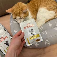 Фото отзыва 10695626