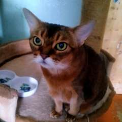 Фото отзыва 10966733