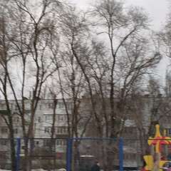 Видео отзыва 8323976