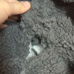 Фото отзыва 10790597